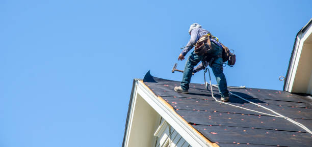 Best Roof Gutter Cleaning  in Bon Air, VA